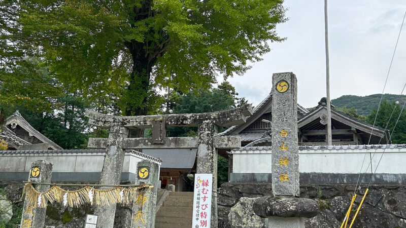 白山神社、糸島の自然と歴史を感じる癒しの場所へ