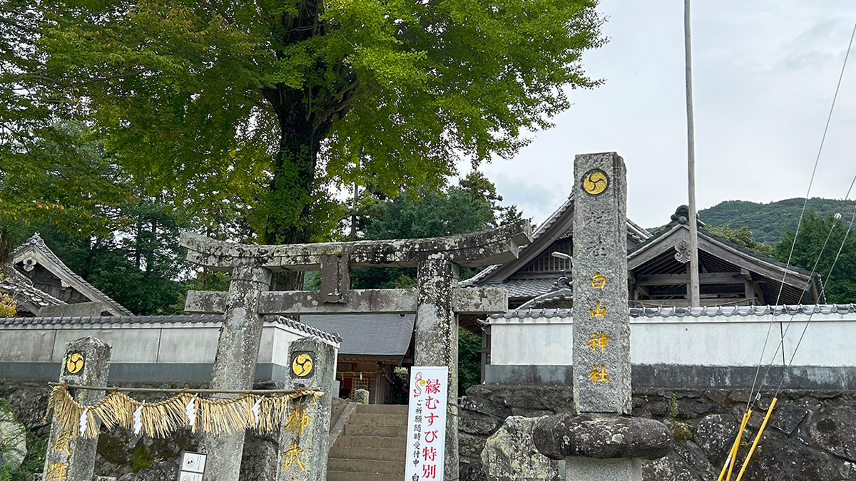 白山神社、糸島の自然と歴史を感じる癒しの場所へ