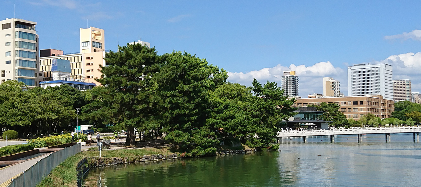 一眼レフ（大濠公園）